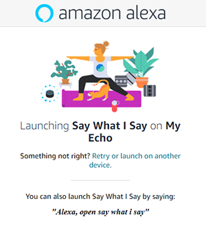 Image of Alexa Skill Launch Screen.